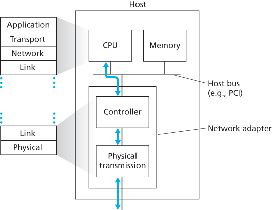 Network adapter: Its relationship to other host components and to protocol stack functionality