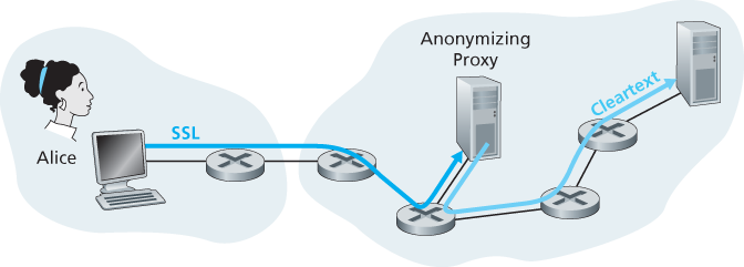 Providing anonymity and privacy with a proxy